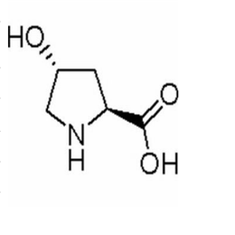 L-羟脯氨酸