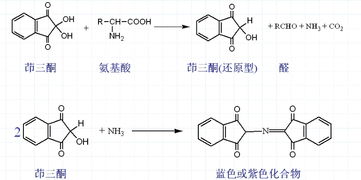 茚三酮的应用领域