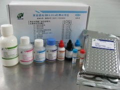 人羟脯氨酸糖蛋白 hrgp elisa试剂盒