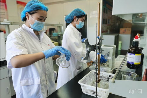探访 走进大连预制菜生产示范推广基地 央广网