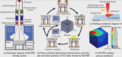 西安理工大学李树丰教授 l 增材制造硼化钛增强钛基复合材料的研究进展