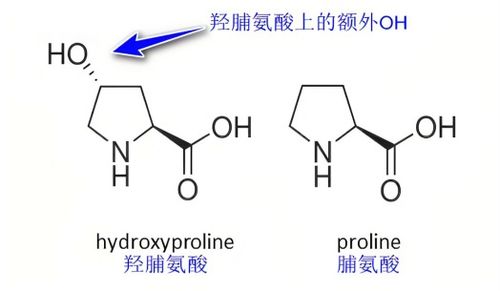 cell biolabs羟脯氨酸 hyp 定量检测试剂盒如何检测