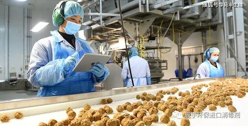 食品厂gmp车间霉菌解决方案