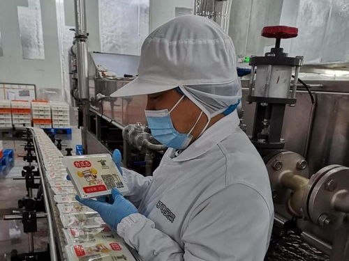 一块豆腐的上海漂流记 L-脯氨酸的生产奥秘